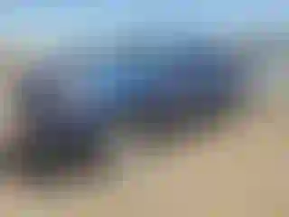 Vehicle Image- 2005 Toyota Tundra