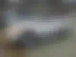 Vehicle Image- 2006 Toyota Tundra