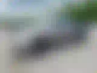 Vehicle Image- 2000 Toyota Tundra