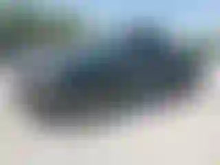 Vehicle Image- 2003 Toyota Tundra