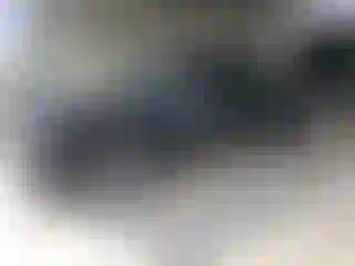 Vehicle Image- 2003 Toyota Tundra