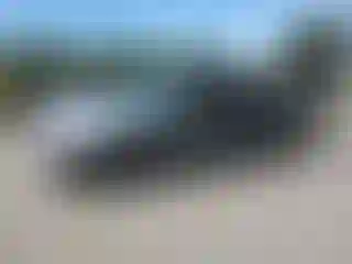 Vehicle Image- 2005 Toyota Tundra