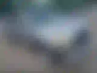 Vehicle Image- 2006 Toyota Tundra