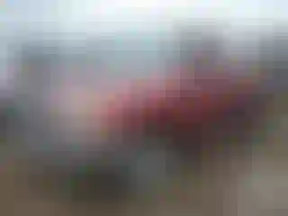 Vehicle Image- 2000 Toyota Tundra
