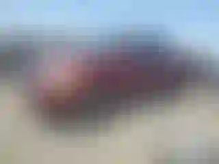 Vehicle Image- 2003 Toyota Tundra