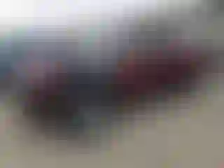 Vehicle Image- 2004 Toyota Tundra