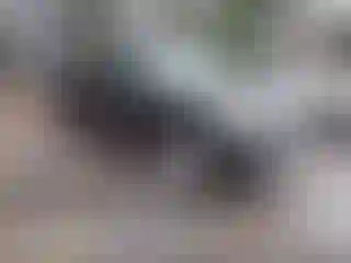 Vehicle Image- 2005 Toyota Tundra