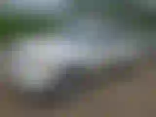 Vehicle Image- 2006 Toyota Tundra