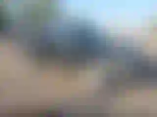 Vehicle Image- 2002 Toyota Tundra