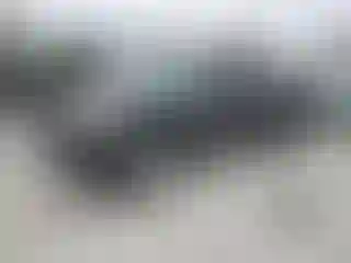 Vehicle Image- 2003 Toyota Tundra