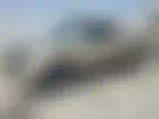 Vehicle Image- 2003 Toyota Tundra