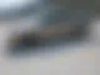 Vehicle Image- 2003 Toyota Tundra