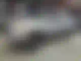 Vehicle Image- 2006 Toyota Tundra