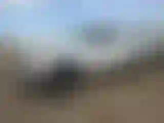Vehicle Image- 2000 Toyota Tundra