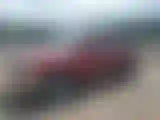 Vehicle Image- 2002 Toyota Tundra