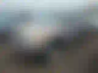 Vehicle Image- 2000 Toyota Tundra