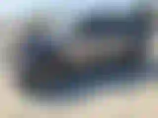 Vehicle Image- 2000 Toyota Tundra