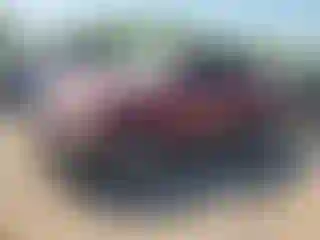 Vehicle Image- 2002 Toyota Tundra