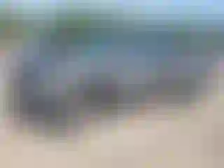 Vehicle Image- 2004 Toyota Tundra