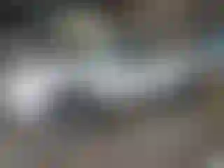 Vehicle Image- 2003 Toyota Tundra