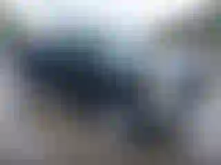 Vehicle Image- 2000 Toyota Tundra