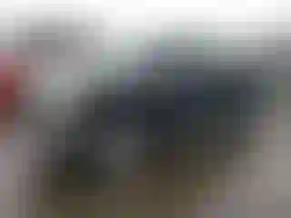 Vehicle Image- 2007 Toyota Tundra