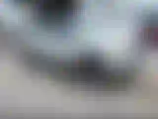 Vehicle Image- 2007 Toyota Tundra