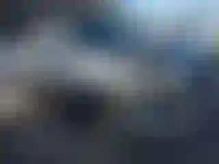 Vehicle Image- 2008 Toyota Tundra