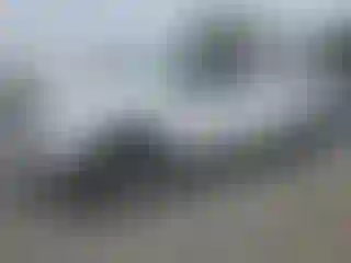 Vehicle Image- 2008 Toyota Tundra