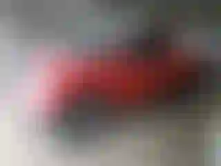 Vehicle Image- 2008 Toyota Tundra