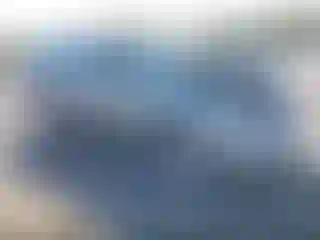 Vehicle Image- 2008 Toyota Tundra
