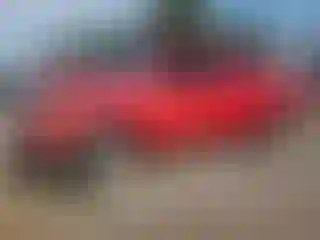 Vehicle Image- 2008 Toyota Tundra