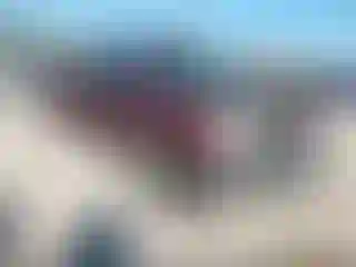 Vehicle Image- 2008 Toyota Tundra