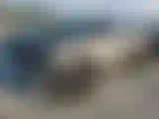 Vehicle Image- 2007 Toyota Tundra