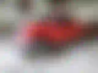 Vehicle Image- 2007 Toyota Tundra