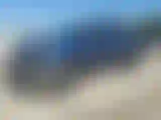 Vehicle Image- 2008 Toyota Tundra