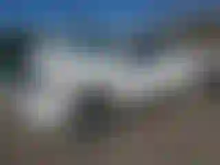 Vehicle Image- 2008 Toyota Tundra