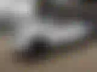 Vehicle Image- 2008 Toyota Tundra