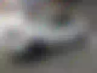 Vehicle Image- 2006 Toyota Tundra