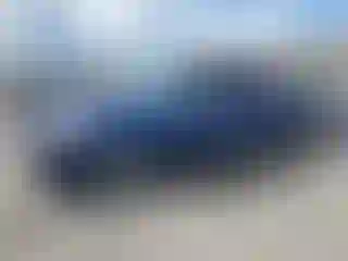 Vehicle Image- 2006 Toyota Tundra