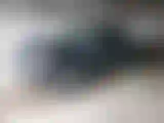 Vehicle Image- 2006 Toyota Tundra