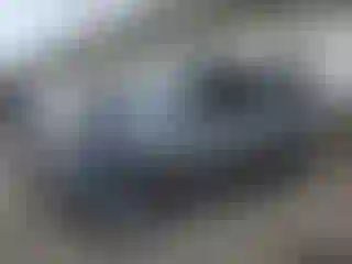 Vehicle Image- 2006 Toyota Tundra