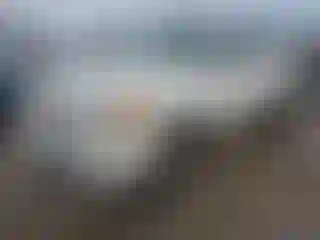 Vehicle Image- 2004 Toyota Tundra