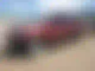 Vehicle Image- 2005 Toyota Tundra