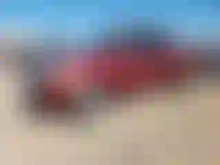 Vehicle Image- 2005 Toyota Tundra