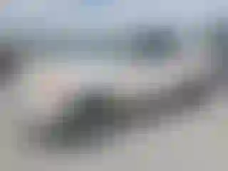 Vehicle Image- 2004 Toyota Tundra