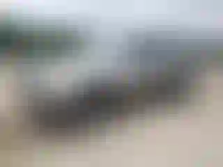 Vehicle Image- 2005 Toyota Tundra