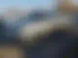 Vehicle Image- 2006 Toyota Tundra