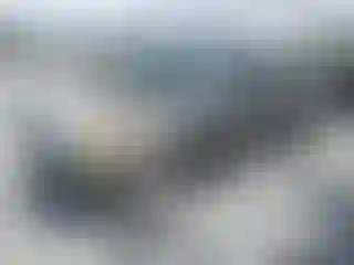Vehicle Image- 2004 Toyota Tundra