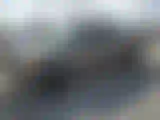 Vehicle Image- 2004 Toyota Tundra